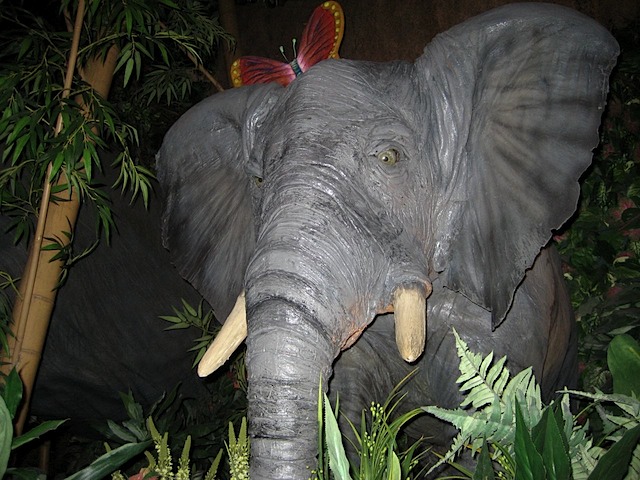 08Christmas121508_01