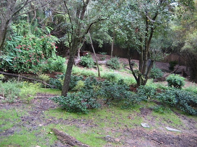 08Christmas121508_04