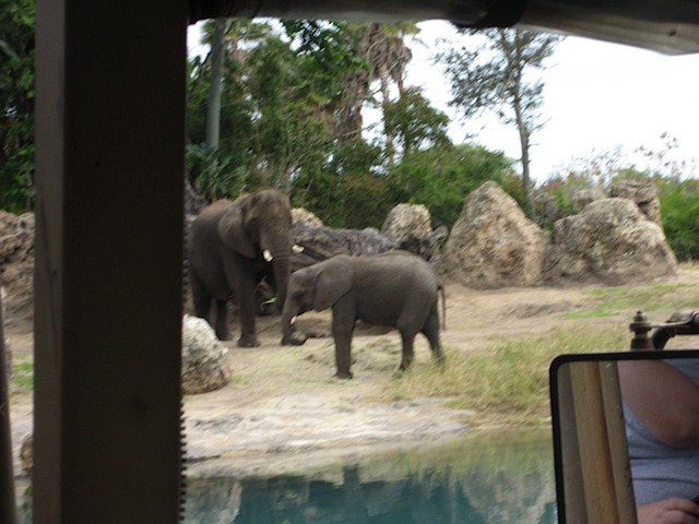 08Christmas121508_07