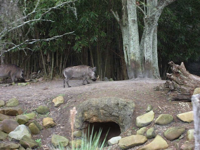 08Christmas121508_09