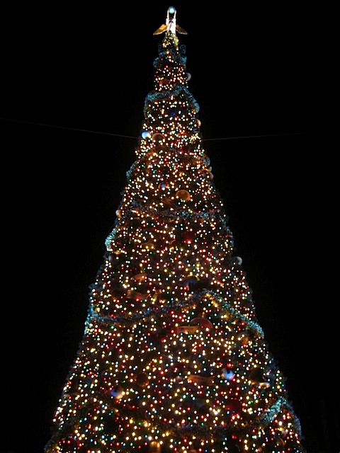 08Christmas121908_21